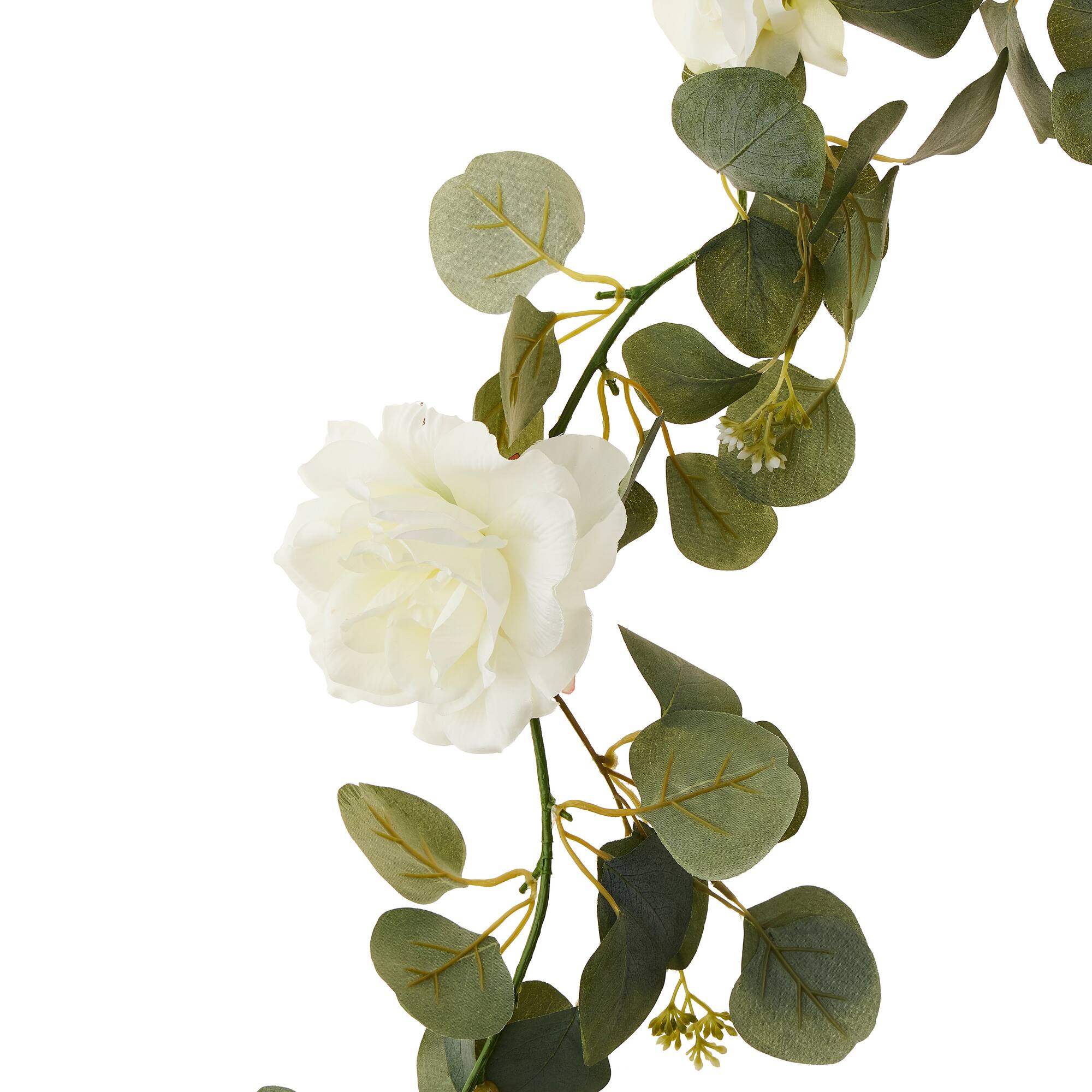 6ft. Rose & Eucalyptus Garland by Ashland®